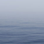 Blue Ocean Strategy: Definition and Principles